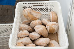 26103_Feira-Queixo_Friol2026