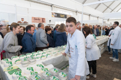 26116_Feira-Queixo_Friol2026